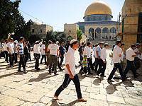 Палестинцы возмущены: суд разрешил евреям молиться на Храмовой горе - newsland.com - Израиль - Палестина - Иерусалим