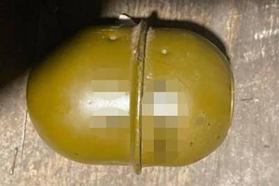 Нетрезвый житель Одессы бросил гранату в бывшего мужа сожительницы - lenta.ru - Одесса - Одесская обл.