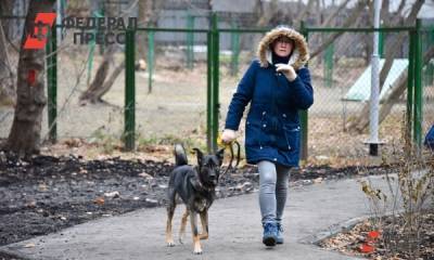 Михаил Леус - Полина Зиновьева - В Петербурге заканчивается бабе лето - fedpress.ru - Ленинградская обл. - Санкт-Петербург - Мурманская обл.