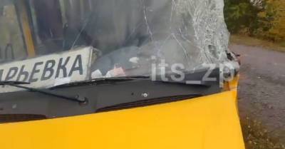 Под Запорожьем пригородная маршрутка попала в аварию, пострадали восемь человек - kp.ua - Украина - Запорожье
