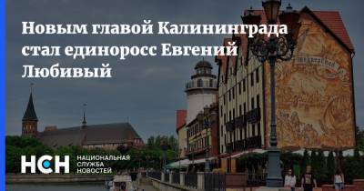 Андрей Кропоткин - Новым главой Калининграда стал единоросс Евгений Любивый - nsn.fm - Россия - Калининград