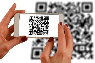 Неравнодушные граждане оспаривают обязанность предъявления QR-кодов в общественных местах - arh.mk.ru - Вологодская обл. - Архангельск - Вологда