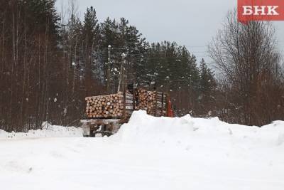 В Ухте водителя лесовоза осудили за гибель девушки - bnkomi.ru - Сыктывкар