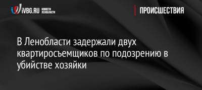 В Ленобласти задержали двух квартиросъемщиков по подозрению в убийстве хозяйки - ivbg.ru - Украина - Ленинградская обл. - район Тосненский - Псковская обл.