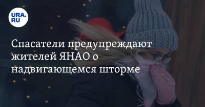 Спасатели предупреждают жителей ЯНАО о надвигающемся шторме - ura.news - окр. Янао