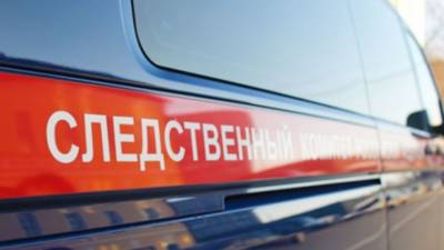 В СК заявили о задержании новых подозреваемых по делу об отравлении суррогатным алкоголем - russian.rt.com - Россия - Орск