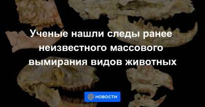 Ученые нашли следы ранее неизвестного массового вымирания видов животных - news.mail.ru - Антарктида
