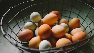 Михаил Гинзбург - Диетолог рассказал, сколько яиц в день можно съесть без вреда для здоровья - vm.ru