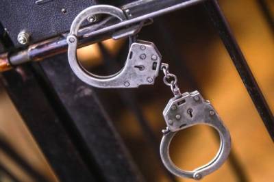 У закладчицы под Гатчиной нашли пол килограмма наркотиков - ivbg.ru - Украина - Ленинградская обл. - Казахстан