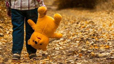 В Воронежской области 4-летний мальчик убежал от братьев и потерялся - vestivrn.ru - Воронежская обл. - Борисоглебск