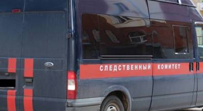 Две жительницы Чувашии напоили знакомого и угнали его машину - pg21.ru - Россия - респ. Чувашия