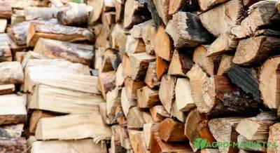 Как хранить дрова на даче - skuke.net
