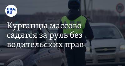 Курганцы массово садятся за руль без водительских прав - ura.news
