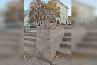 «Вандалы-дантисты» поизмывались надо львами в центре Петербурга - spb.mk.ru - Санкт-Петербург
