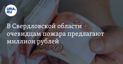 В Свердловской области очевидцам пожара предлагают миллион рублей - ura.news - Свердловская обл. - Югра