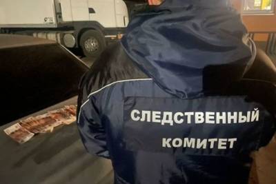 Два дальнобоя пытались дать взятку в полмиллиона сотруднику ГИБДД на въезде в Смоленскую область - mk-smolensk.ru - Смоленская обл.