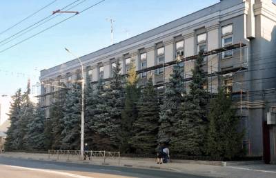 Рязанские активисты призвали мэрию сохранить голубые ели в центре города - 7info.ru - Рязань