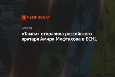 Амир Мифтахов - «Тампа» отправила российского вратаря Амира Мифтахова в ECHL - championat.com - Россия - Сочи