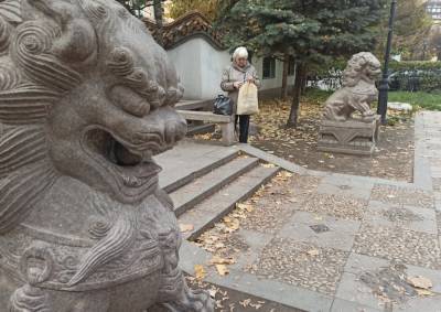 Львов в Саду дружбы очистили от краски - neva.today - Санкт-Петербург - район Центральный, Санкт-Петербург