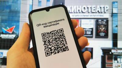 Привитым воронежцам рассказали, что делать при отсутствии QR-кода на госуслугах - vestivrn.ru