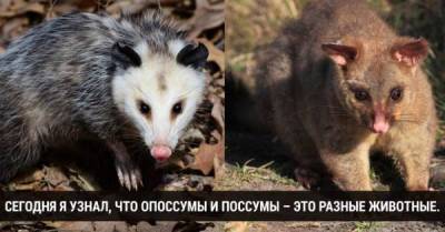 Сегодня я узнал: 29 фактов, которые доказывают, что учиться никогда не поздно - skuke.net - Австрия - Германия - Мексика - Вена