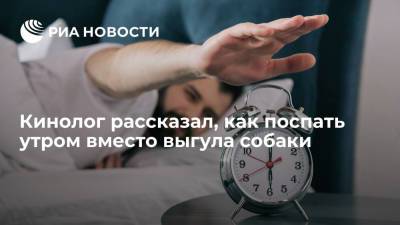 Владимир Голубев - Кинолог рассказал, что за годы собаки научились подстраиваться под образ жизни хозяина - ria.ru - Москва - Россия