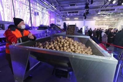 В Омске подскочили цены на картофель и хлеб - omsk.mk.ru - Россия - Казахстан - Омск