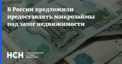 В России предложили предоставлять микрозаймы под залог недвижимости - nsn.fm - Россия
