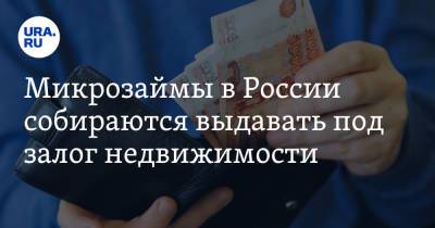 Микрозаймы в России собираются выдавать под залог недвижимости - ura.news - Россия