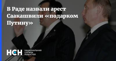 Владимир Путин - Михаил Саакашвили - Илья Кива - В Раде назвали арест Саакашвили «подарком Путину» - nsn.fm - Россия - США - Украина - Грузия