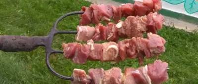 Лайфхак для любителів пікніків, вигаданий чортківським подружжям (Фото) - w-n.com.ua