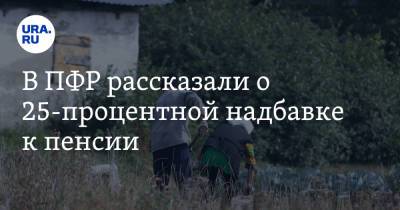 В ПФР рассказали о 25-процентной надбавке к пенсии - ura.news - Россия - Забайкальский край