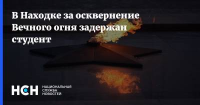 В Находке за осквернение Вечного огня задержан студент - nsn.fm - Россия - Владивосток