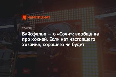 Андрей Назаров - Леонид Вайсфельд - Вайсфельд — о «Сочи»: вообще не про хоккей. Если нет настоящего хозяина, хорошего не будет - championat.com - Сочи