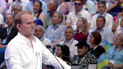 Виктор Медведчук - Медведчука обвинили в подрыве энергетической стабильности Украины - tvc.ru - Украина - ДНР - ЛНР - Юар