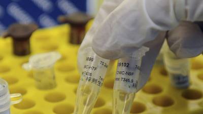 Анна Попова - Районная администрация в Башкирии ввела режим ЧС из-за птичьего гриппа - russian.rt.com - Башкирия