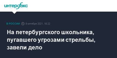 На петербургского школьника, пугавшего угрозами стрельбы, завели дело - interfax.ru - Москва - Россия - Санкт-Петербург - р-н. Приморский - Петербург