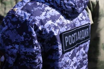 В Волжске задержан мужчина, укравший товар из магазина - mk.ru - респ. Марий Эл - Волжск
