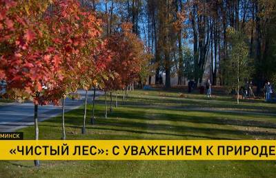Более 40 тыс. человек приняли участие в акции «Чистый лес» - ont.by - Белоруссия - Минск