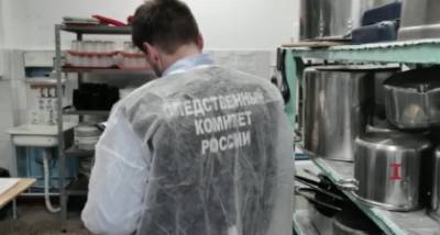 По факту отравления красноярских школьников возбуждено уголовное дело – Учительская газета - ug.ru - Красноярск