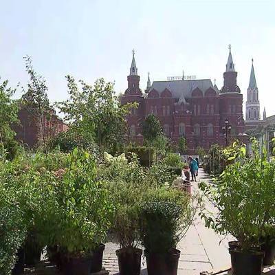 В парках Москвы высадят порядка 50тыс. кустарников, цветов и деревьев из садов фестиваля "Цветочный джем" - radiomayak.ru - Москва