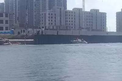 Создавший пробку в канале имени Москвы теплоход сняли с мели - lenta.ru - Москва - Тольятти