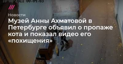 Анна Ахматова - Музей Анны Ахматовой в Петербурге объявил о пропаже кота и показал видео его «похищения» - tvrain.ru - Санкт-Петербург