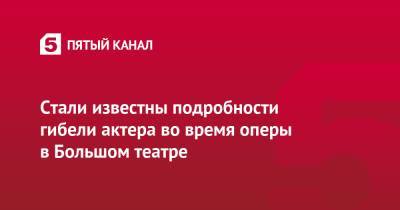 Евгений Кулеш - Стали известны подробности гибели актера во время оперы в Большом театре - 5-tv.ru - Москва