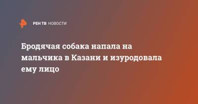 Бродячая собака напала на мальчика в Казани и изуродовала ему лицо - ren.tv - Россия - респ. Татарстан - Казань