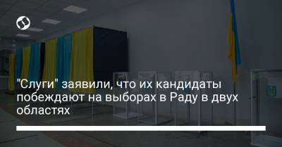 Сергей Козырь - "Слуги" заявили, что их кандидаты побеждают на выборах в Раду в двух областях - liga.net - Украина - Черкасская обл. - Херсонская обл.