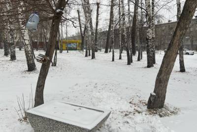 Мокрый снег и сильный ветер до 17 м/с ожидается 1 ноября в Новосибирске - novos.mk.ru - Новосибирск
