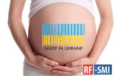 Украина стала рынком суррогатного материнства для Польши - rf-smi.ru - Украина - Польша - Варшава