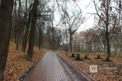 Теплая и пасмурная погода ждет нижегородцев на этой неделе - vgoroden.ru - Нижний Новгород - Нижний Новгород