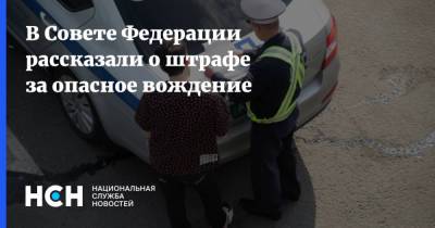 Ирина Рукавишникова - В Совете Федерации рассказали о штрафе за опасное вождение - nsn.fm - Россия